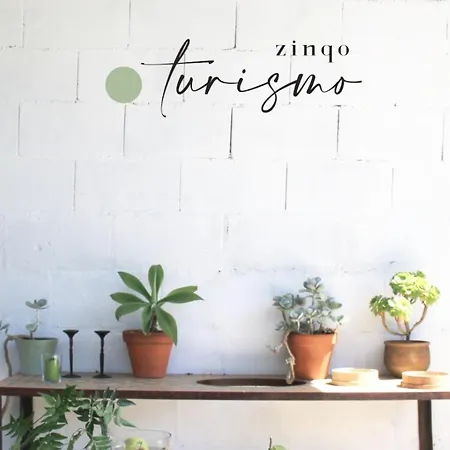 Zinqo Tui